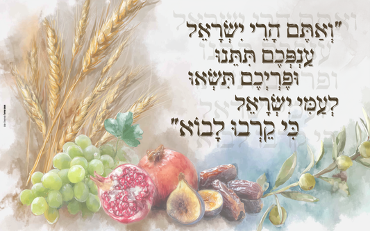 שמשונית כרזה לסוכה - דגם שבעת המינים - כרזות - שבעת המינים מצויירים בצבעי מים עדינים - בשילוב פסוק על גאולת ישראל